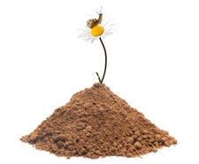 Meadowmat - low fertility soil for wildflower areas