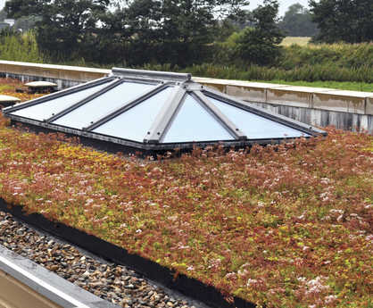 Enviromat® sedum matting for green roofs