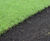 Premium Lawn Turf for all-round use 2