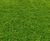 Shadesman+ - slow-growing, shade-tolerant lawn turf 2