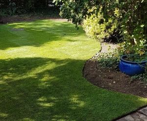 Shadesman+ - slow-growing, shade-tolerant lawn turf
