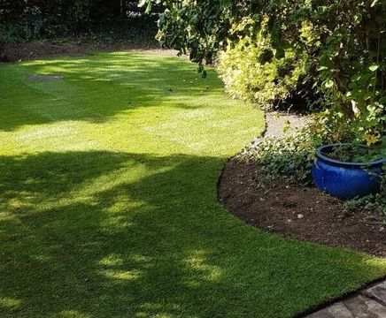 Shadesman+ - slow-growing, shade-tolerant lawn turf