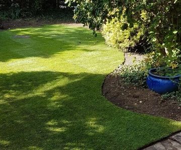 Shadesman+ - slow-growing, shade-tolerant lawn turf