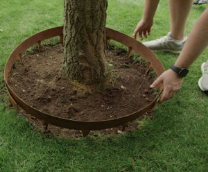 Pre-rolled mild steel tree rings