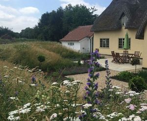 Meadowmat Wildflower Turf for large-scale garden revamp