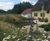 Meadowmat Wildflower Turf for large-scale garden revamp 0