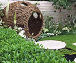 Enviromat Sedum for RHS City Twitcher’s Garden (Silver Gilt)