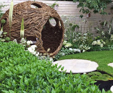 Enviromat Sedum for RHS City Twitcher’s Garden (Silver Gilt)