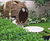 Enviromat Sedum for RHS City Twitcher’s Garden (Silver Gilt) 0
