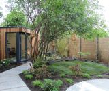 Premium Turf for Channel 5's Filthy Garden SOS - London - on this page