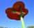 Poppy Field Play Area Honouring Heritage Through Play 6