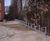Type D Cycle Rack - galvanized steel floor bike rack for dense parking 2