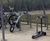 Junior Sheffield - kids cycle stand, 2 bikes 2
