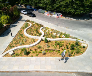 Turning a busy Hackney junction into a pollinator-friendly rain garden