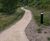 1200 Metres of Titan Roll Top Edging Shapes AICO’s Workplace Wellness Trail 5