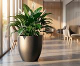 Bradley - fibreglass indoor and outdoor planter for modern spaces - on this page