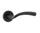 Winchester 1700-5095-F5 lever on rose door handle