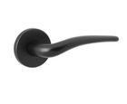 Serpentine 1610-5095-F5 lever on rose door handle