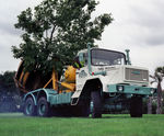 Moving large trees