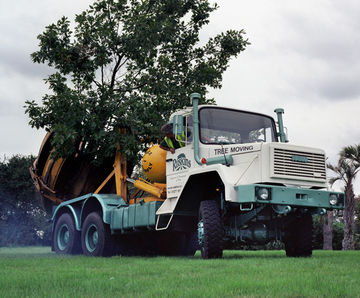 Moving large trees