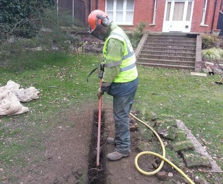 Air Spade tree root investigation service