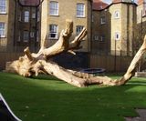 Natural playground trees and logs - supply and installation service - on this page