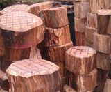 Natural stepping logs for playgrounds - on this page
