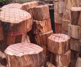 Natural stepping logs for playgrounds