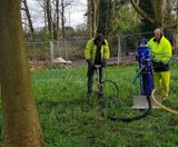 Tree root decompaction and aeration service - on this page
