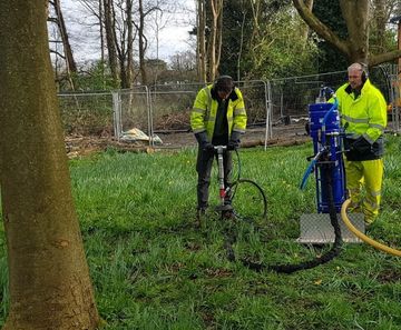 Tree root decompaction and aeration service