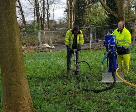 Tree root decompaction and aeration service