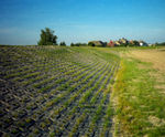 Armorloc concrete block revetment system