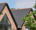 Rivius roof tiles
