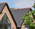 Rivius roof tiles