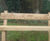Timber Interpretation Bench - Outdoor seating with custom engraved backrest 7