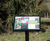 Rainforest interpretation signs for college trail 1