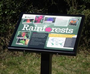 Rainforest interpretation signs for college trail