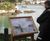Oak interpretation panels for outdoor spaces 3