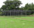 Cricket wickets 7