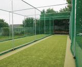 Cricket wickets - on this page