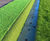 Bowling green ditch channels 0