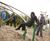 Orchard playground equipment 7
