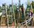 Orchard playground equipment 0