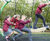 Cobra multi-user swing (COB001) 1