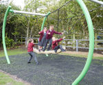 Cobra multi-user swing (COB001)