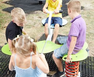 4-way seesaw (FWS001)