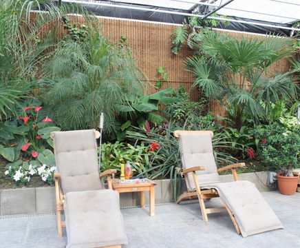Kokowall® wall covering screens for green walls