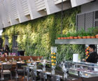 Vertiss living green wall for Hamburg seafood restaurant