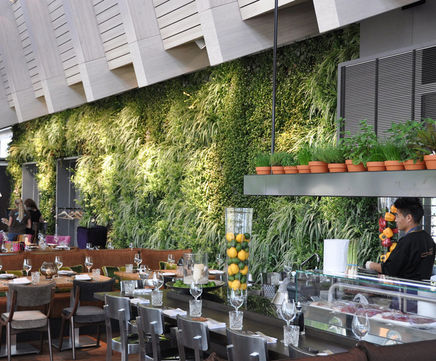 Vertiss living green wall for Hamburg seafood restaurant