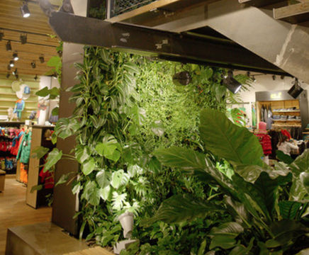 Vertiss interior vertical garden for retail store